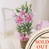 花鉢「ピンク色の八重咲きオリエンタルリリー」